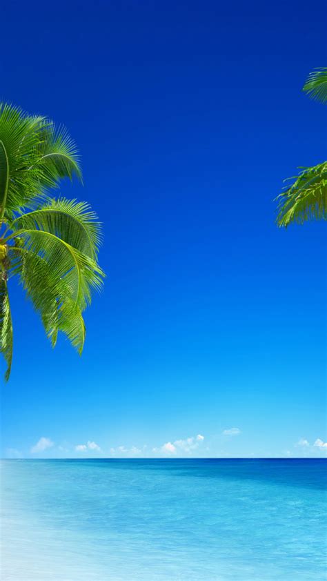 Wallpaper Tropical Beach 5k 4k Wallpaper 8k Paradise Palms Sea