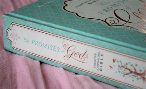 Mev The Promises Of God Creative Journaling Bible Review Bible Buying