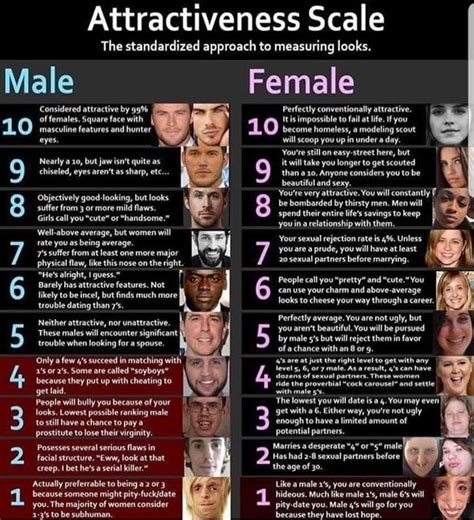 how to do the attractiveness scale on tiktok vanceai