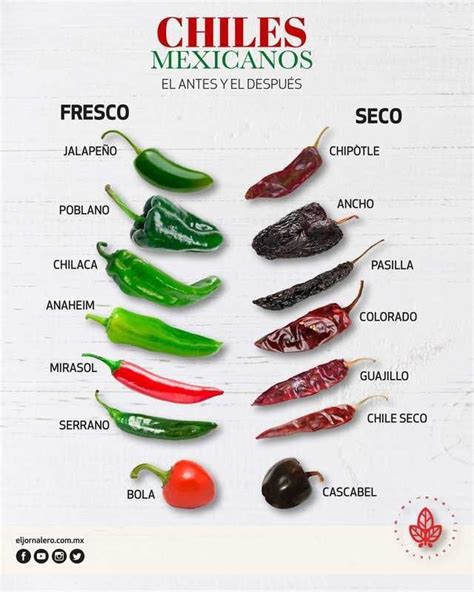 Til Mexican Chillies Have Different Names Depending On Whether They Are