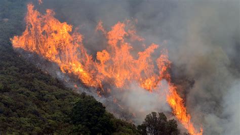 Wildfire Near Californias Big Sur Burns Dozens Of Homes