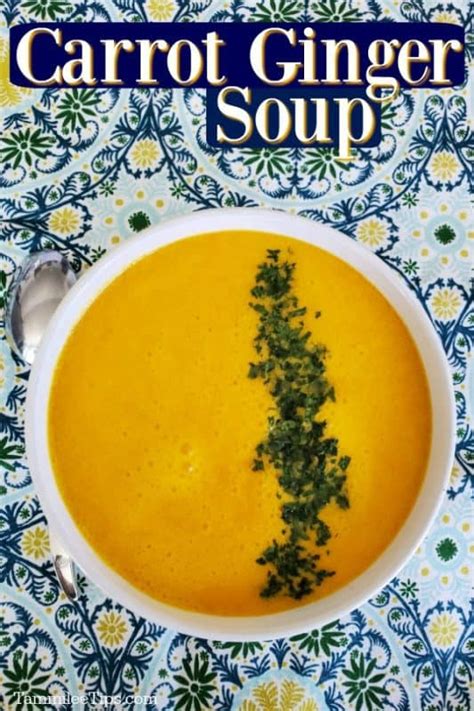Carrot Ginger Soup Recipe Video Tammilee Tips