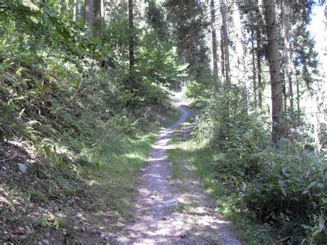 Geführte Wanderung Auf Dem Kall Trail In Der Eifel Guidersde