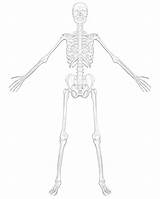 Skeleton Coloring Printable Filminspector Entelodont Pig Hell sketch template
