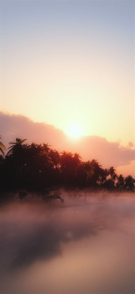Sunrise Wallpaper 4k Palm Trees Mist Foggy Nature 4052