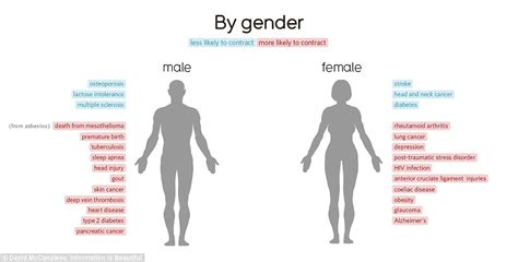 There is a wide range of normality of female body shapes. Fascinating graphic reveals the surprising link between body parts and health problems | Daily ...