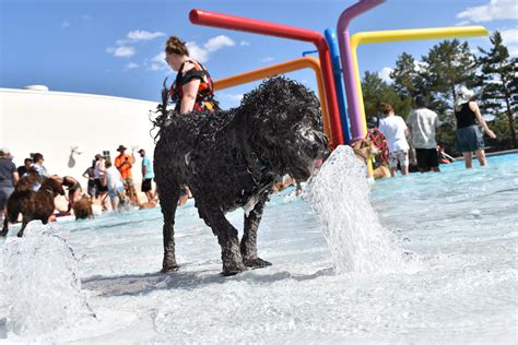 Want to see a flick at the Holiday Twin? Here's when it's closing for