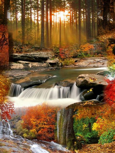 Beautiful Fall Landscape Wallpaper Tera Wallpaper 42 Fall Landscapes
