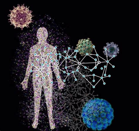 Un Gran Mapa Muestra Cómo Los Virus Infectan A Los Humanos