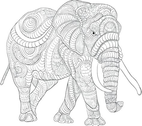 Coloring Pages For Adults Elephants At Free