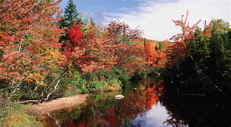 ‘leaf Peeping Season In Nova Scotia