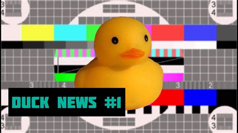 Выход из самоизоляции Duck News 1 Youtube