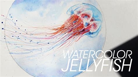 Little Jellyfish Watercolor Youtube
