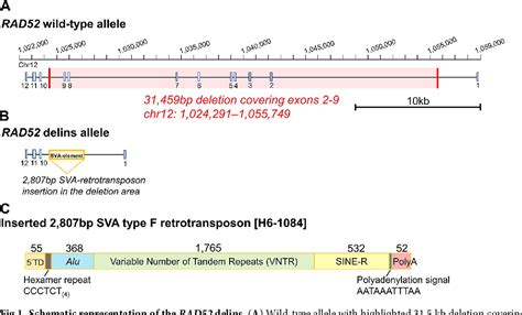 Figure 1 From Exome Sequencing Identified Rare Recurrent Copy Number