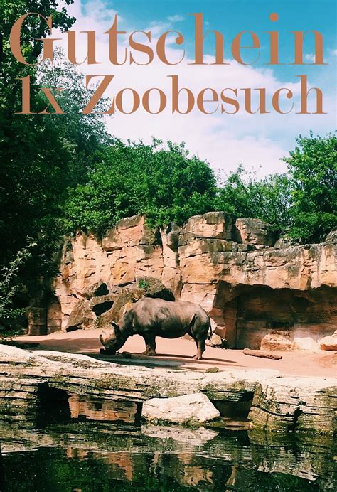Zoo Gutscheine Zoobesuch Als Geschenkidee Gutscheinspruchde