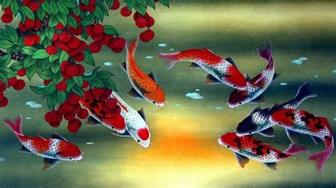 Animated Koi Fish Wallpapers Top Free Animated Koi Fish