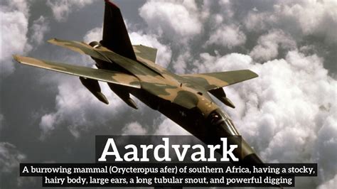 How Does Aardvark Look? | What is Aardvark? | How to Say Aardvark in