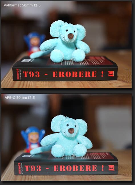 Der leistungssprung von apsc auf vollformat in dieser testreihe ist doch schockierend. DSLR-Wissen - Vollformat versus APS-C