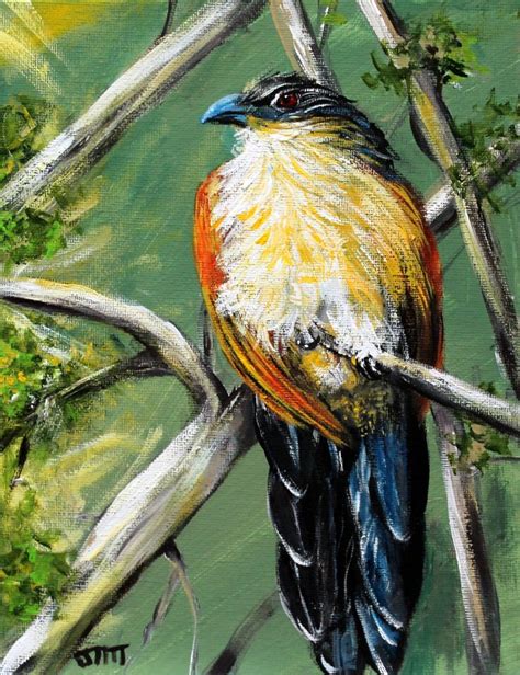 17 Best Images About Bird Paintings On Pinterest Stretched Canvas
