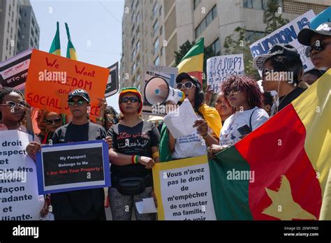 protesters are seen holding placards during the demonstration hundreds of people from different