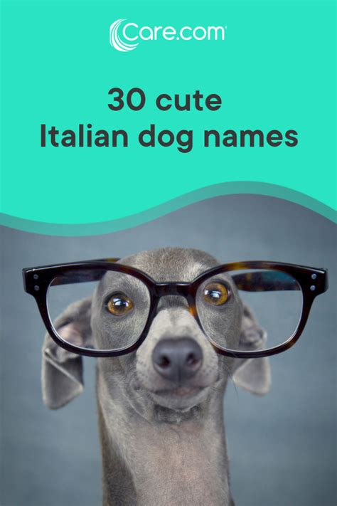 30 Cute Italian Dog Names And Their Meanings Italian Dogs Dog Names
