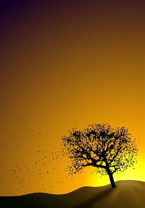 Tutorial Geek Design A Landscape Tree In Sunset