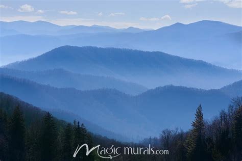 Blue Smoky Mountains View Wallpaper Mural By Magic Murals