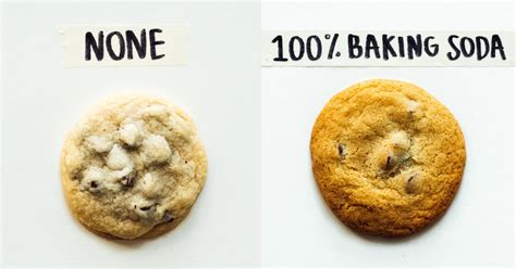 How does baking soda work? Is Baking Soda Or Powder Better For Making Cookies With?
