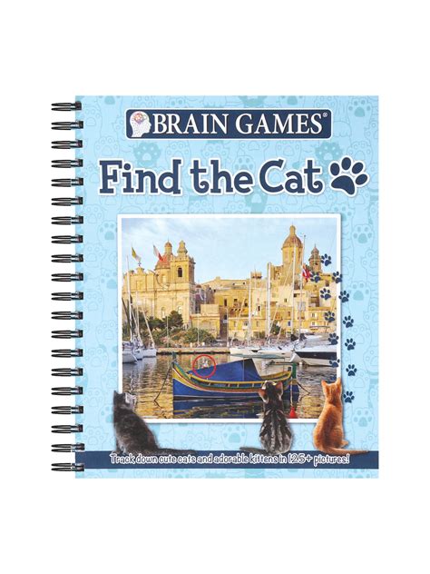 Brain Games Find The Cat Find The Hidden Cat In Each Picture Book