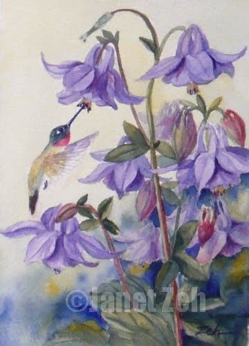 Zeh Original Art Blog Watercolor And Oil Paintings Hummingbird Art