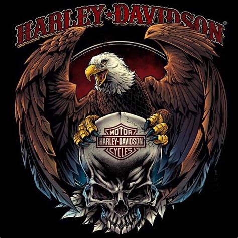Bald Eagle Harley Davidson Harley Davidson