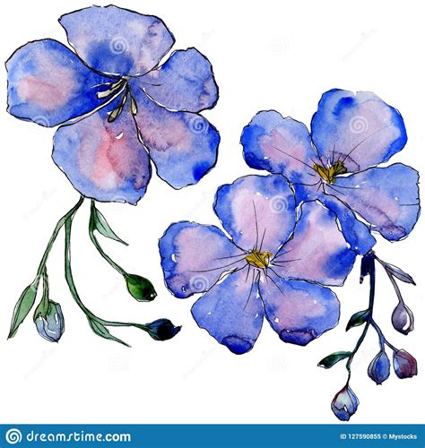 Watercolor Blue Flax Flowers Floral Botanical Flower Isolated