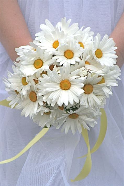 Navy And Daisy Wedding Bouquets We Did Not Find Results For Sophia