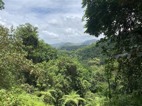 Curiosidades De Costa Rica Que No Sab As Y Te Sorprender N