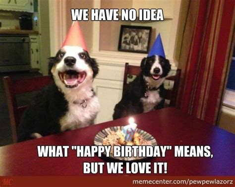 Funny Happy Birthday Meme Dog