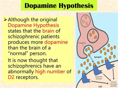 Ppt Dopamine Hypothesis Powerpoint Presentation Free Download Id