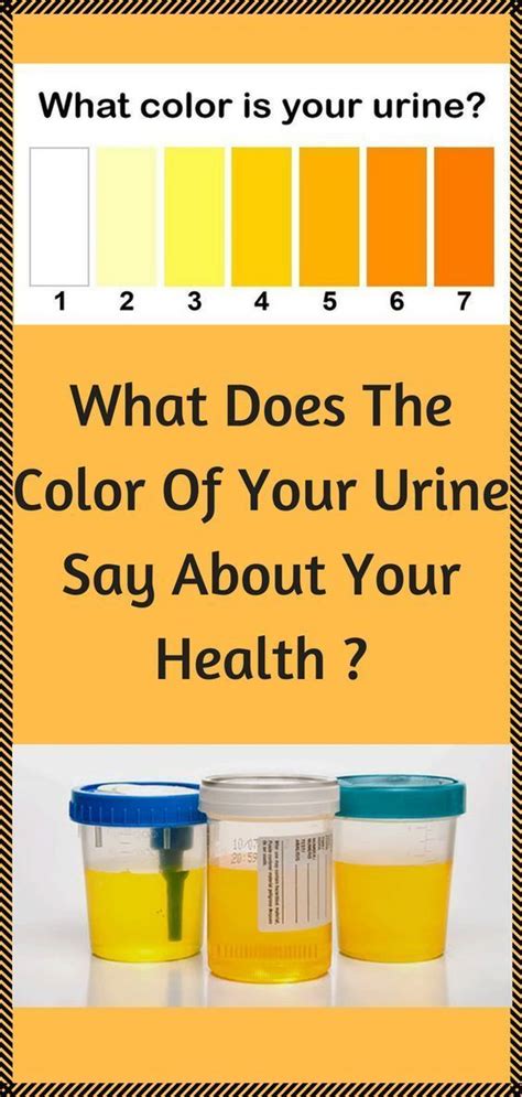 What The Color Of Your Urine Says About Your Health H
