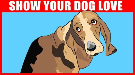 How To Tell Your Dog You Love Them Updated April 2023 Wikidoggia