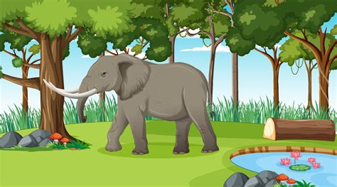 Elephant In Forest Or Rainforest Scene With Many Trees 3046049 Vector