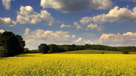 Clouds Landscapes Nature Fields Skyscapes Land Wallpapers Hd