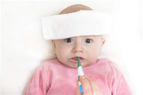 Otras sustancias antiinfecciosas, los glóbulos blancos metodo yuen para bajar de peso. fiebre baja - Canal Chupete