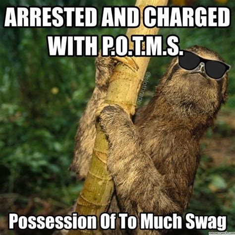 15 Hilarious Sloth Memes To Brighten Your Day Sloths Funny Sloth