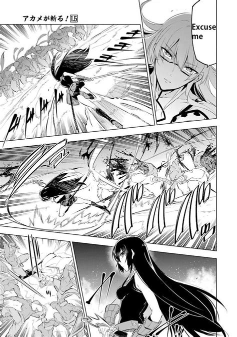 Akame Ga Kill Manga Panels Rongiv