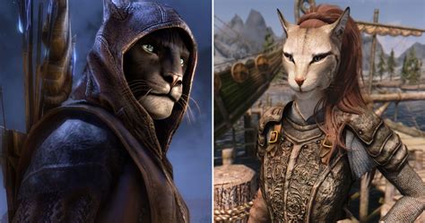 Skyrim 10 Things You Didn T Know About Khajiit