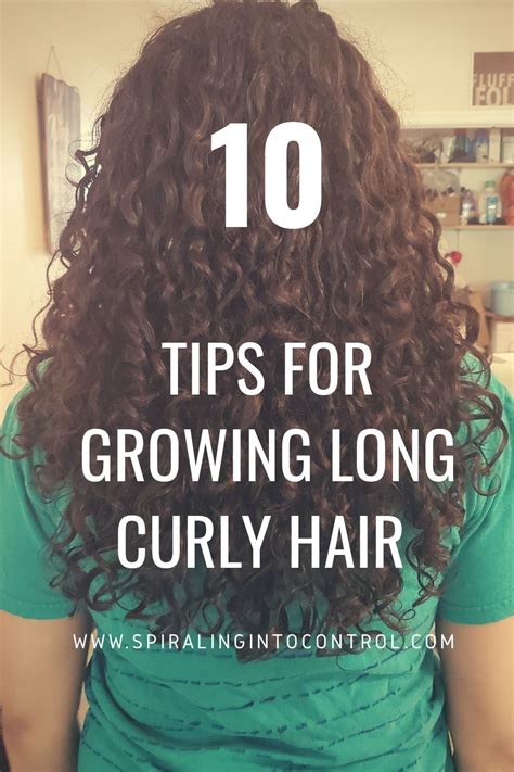 10 Tips For Growing Long Curly Hair Curly Hair Styles Hair Growth