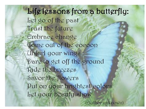 Quotes About Butterflies Wisdom Learnings From Mother Earth Our