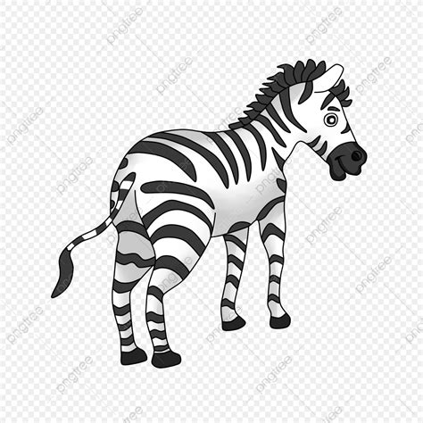 Gambar Kartun Zebra Haiwan Comel Clipart Clipart Zebra Zebra Zebra