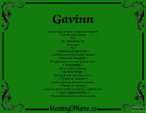 Gavinn Meaning Of Name