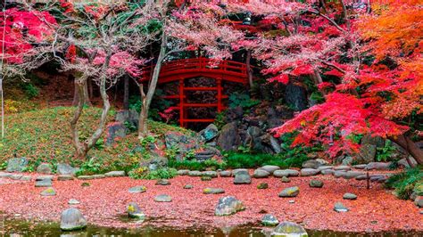 Top 10 Most Beautiful Gardens In The World To See Today