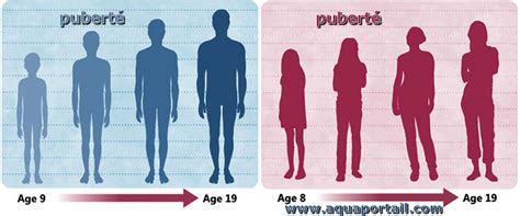 Puberté Définition Et Explications